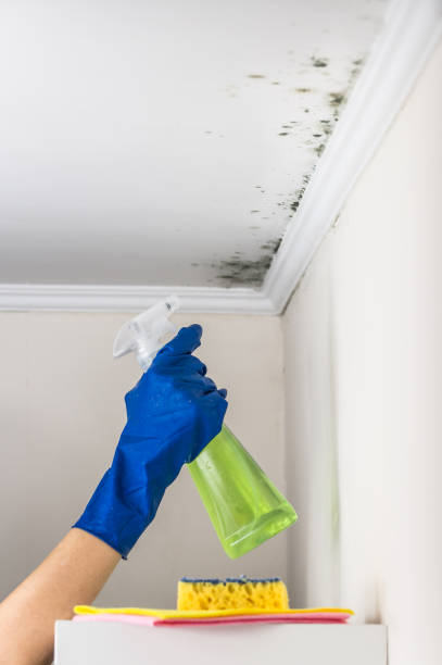 Trinity, TX Mold Remediation Company